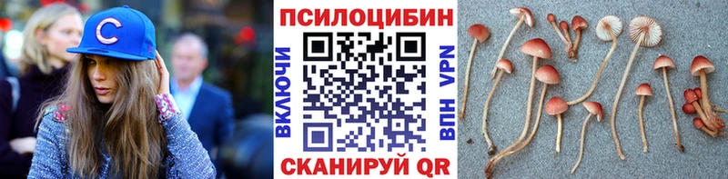 Псилоцибиновые грибы GOLDEN TEACHER  Оха 